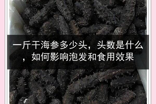 一斤干海参多少头,头数是什么,如何影响泡发和食用效果