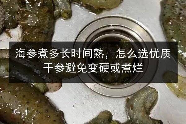 海参煮多长时间熟，怎么选优质干参避免变硬或煮烂