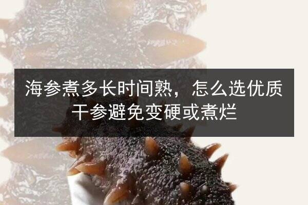 海参煮多长时间熟，怎么选优质干参避免变硬或煮烂