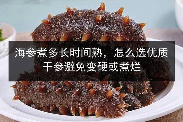 海参煮多长时间熟，怎么选优质干参避免变硬或煮烂