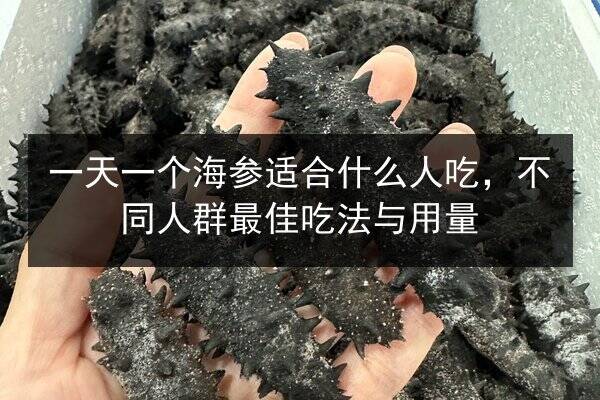 一天一个海参适合什么人吃，不同人群最佳吃法与用量
