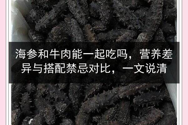 海参和牛肉能一起吃吗,营养差异与搭配禁忌对比,一文说清