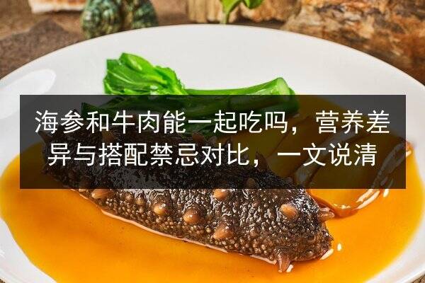 海参和牛肉能一起吃吗,营养差异与搭配禁忌对比,一文说清