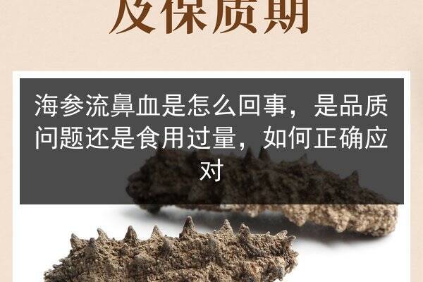 海参流鼻血是怎么回事,是品质问题还是食用过量,如何正确应对