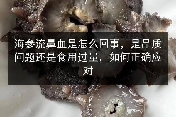 海参流鼻血是怎么回事,是品质问题还是食用过量,如何正确应对