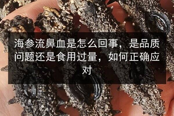 海参流鼻血是怎么回事,是品质问题还是食用过量,如何正确应对