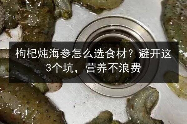 枸杞炖海参怎么选食材？避开这3个坑，营养不浪费
