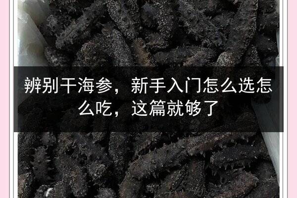 辨别干海参,新手入门怎么选怎么吃,这篇就够了