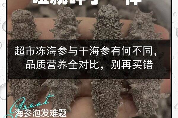 超市冻海参与干海参有何不同，品质营养全对比，别再买错