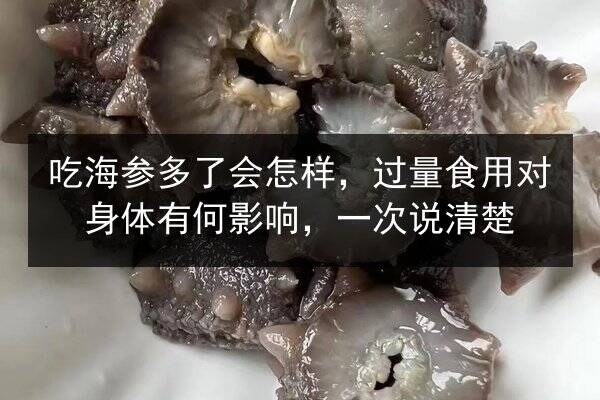 吃海参多了会怎样,过量食用对身体有何影响,一次说清楚