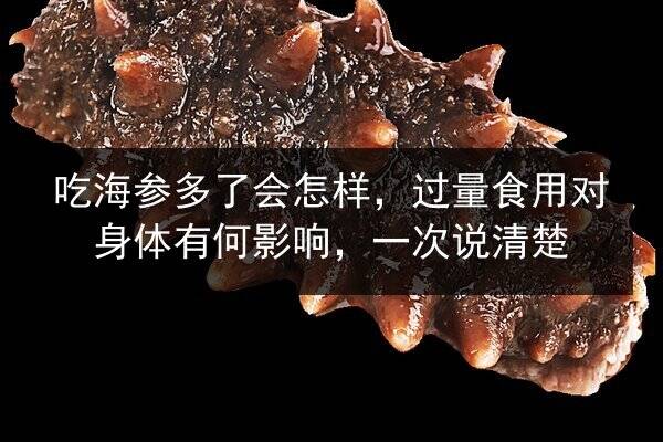 吃海参多了会怎样,过量食用对身体有何影响,一次说清楚