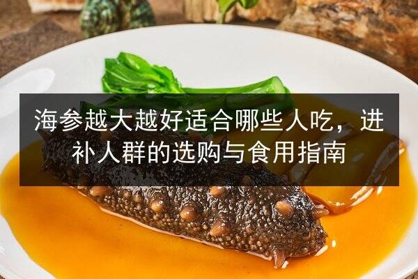 海参越大越好适合哪些人吃,进补人群的选购与食用指南