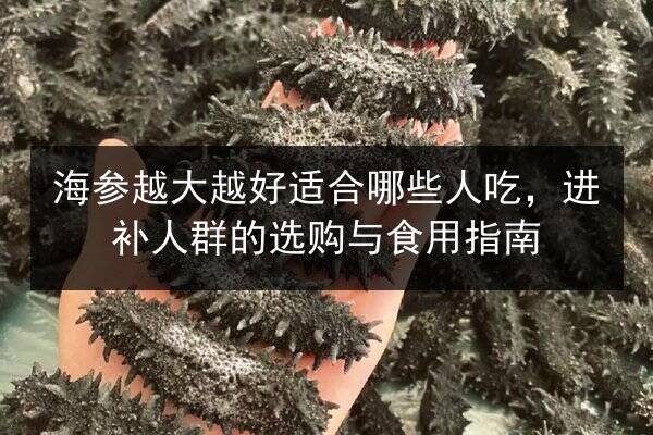 海参越大越好适合哪些人吃,进补人群的选购与食用指南