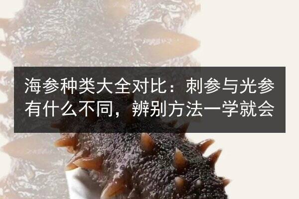海参种类大全对比:刺参与光参有什么不同,辨别方法一学就会