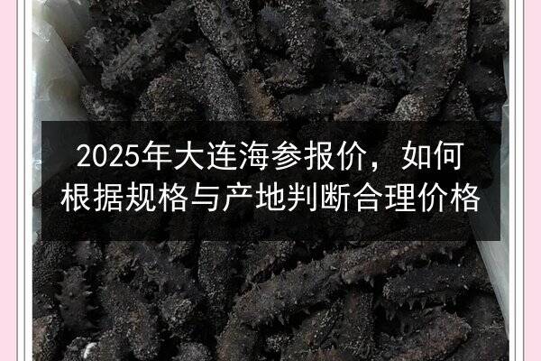 2025年大连海参报价,如何根据规格与产地判断合理价格