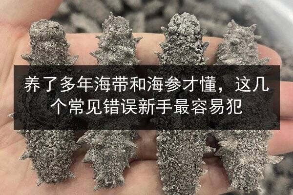 养了多年海带和海参才懂，这几个常见错误新手最容易犯