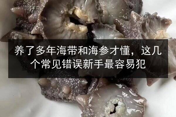 养了多年海带和海参才懂，这几个常见错误新手最容易犯