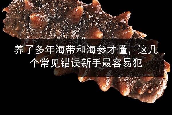 养了多年海带和海参才懂，这几个常见错误新手最容易犯
