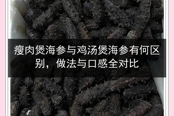 瘦肉煲海参与鸡汤煲海参有何区别,做法与口感全对比