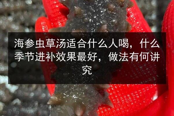 海参虫草汤适合什么人喝，什么季节进补效果最好，做法有何讲究