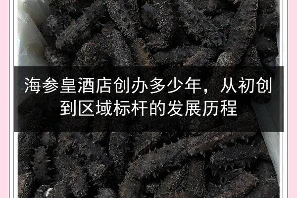 海参皇酒店创办多少年，从初创到区域标杆的发展历程