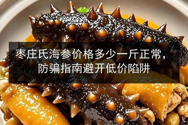 枣庄氏海参价格多少一斤正常,防骗指南避开低价陷阱