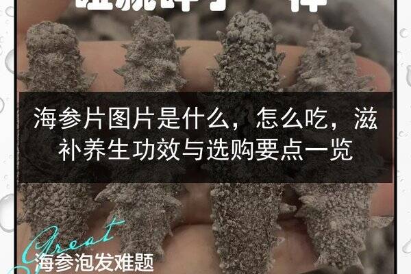 海参片图片是什么，怎么吃，滋补养生功效与选购要点一览