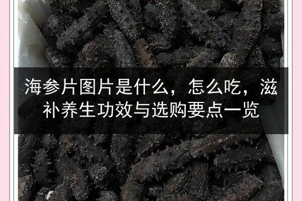 海参片图片是什么，怎么吃，滋补养生功效与选购要点一览