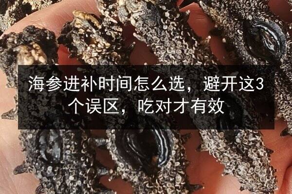 海参进补时间怎么选,避开这3个误区,吃对才有效