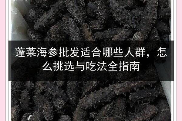 蓬莱海参批发适合哪些人群,怎么挑选与吃法全指南