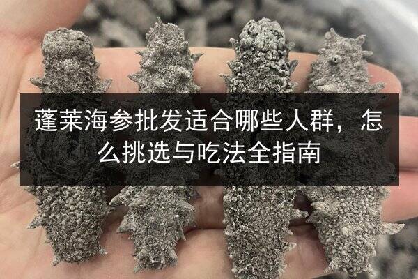 蓬莱海参批发适合哪些人群,怎么挑选与吃法全指南