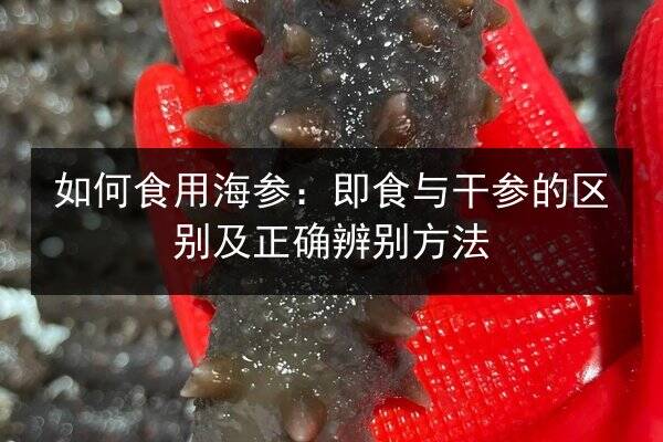 如何食用海参:即食与干参的区别及正确辨别方法