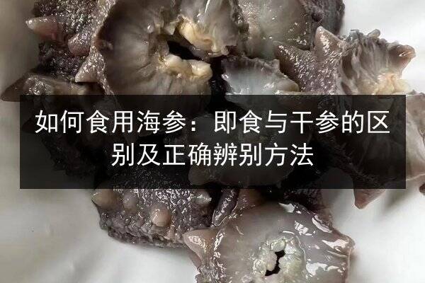 如何食用海参:即食与干参的区别及正确辨别方法