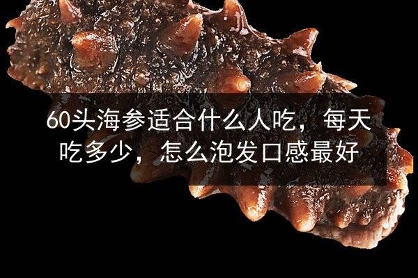 60头海参适合什么人吃,每天吃多少,怎么泡发口感最好