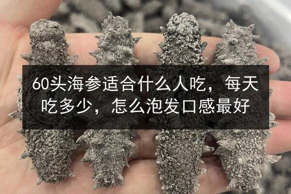 60头海参适合什么人吃,每天吃多少,怎么泡发口感最好