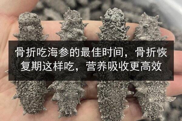 骨折吃海参的最佳时间,骨折恢复期这样吃,营养吸收更高效