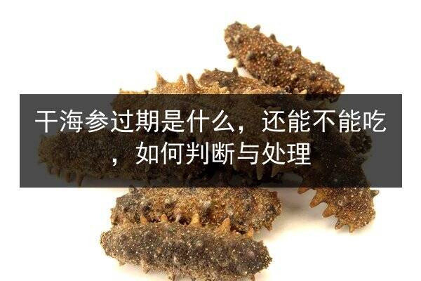 干海参过期是什么,还能不能吃,如何判断与处理