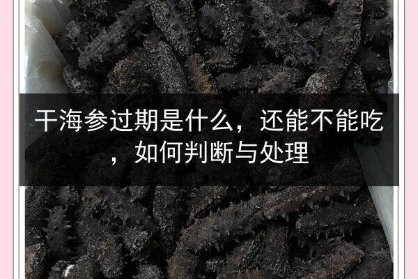 干海参过期是什么,还能不能吃,如何判断与处理