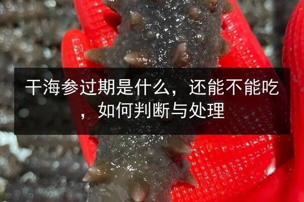 干海参过期是什么,还能不能吃,如何判断与处理