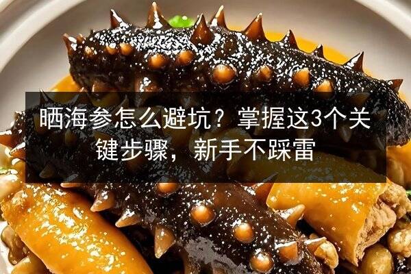 晒海参怎么避坑？掌握这3个关键步骤，新手不踩雷