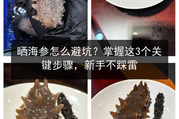 晒海参怎么避坑？掌握这3个关键步骤，新手不踩雷