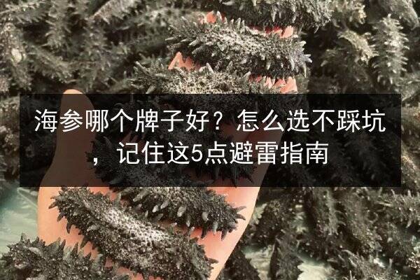 海参哪个牌子好?怎么选不踩坑,记住这5点避雷指南