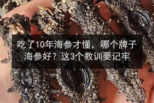 吃了10年海参才懂，哪个牌子海参好？这3个教训要记牢
