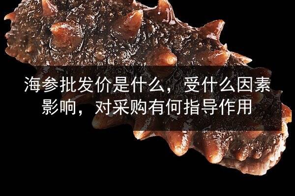 海参批发价是什么,受什么因素影响,对采购有何指导作用