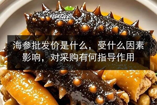 海参批发价是什么,受什么因素影响,对采购有何指导作用