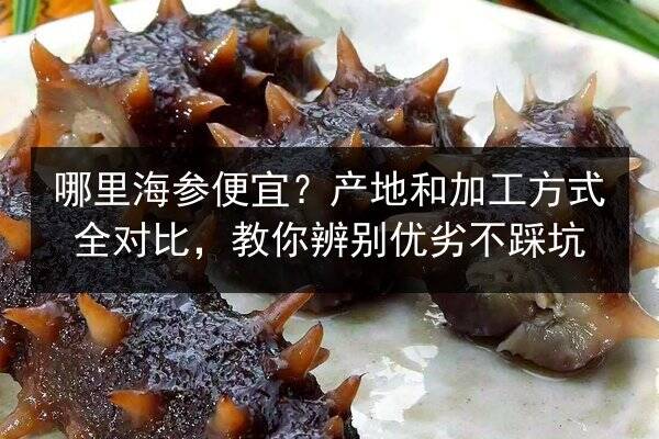 哪里海参便宜?产地和加工方式全对比,教你辨别优劣不踩坑