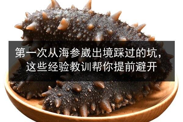 第一次从海参崴出境踩过的坑,这些经验教训帮你提前避开