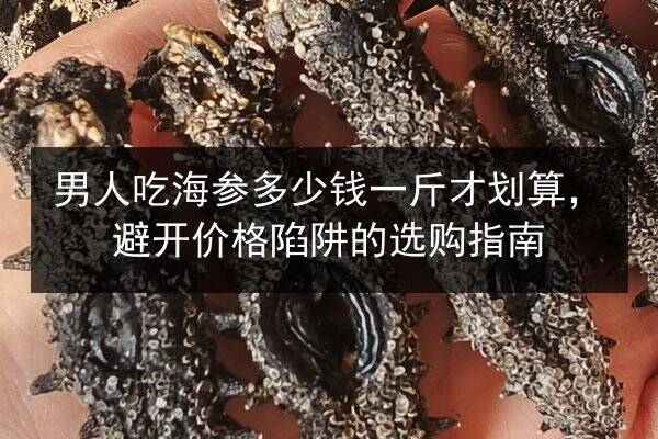 男人吃海参多少钱一斤才划算，避开价格陷阱的选购指南