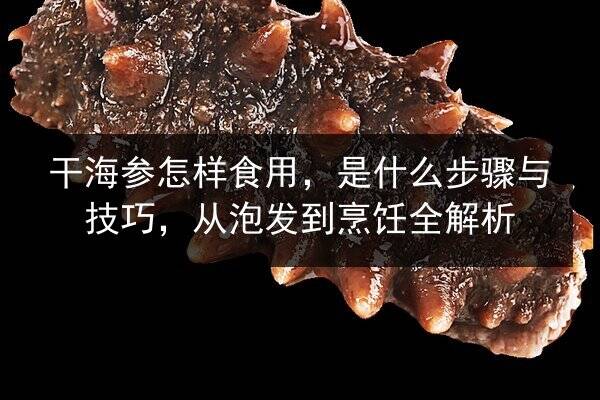 干海参怎样食用,是什么步骤与技巧,从泡发到烹饪全解析