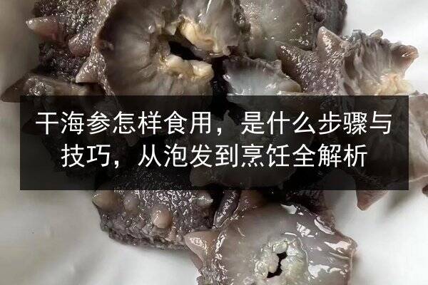 干海参怎样食用,是什么步骤与技巧,从泡发到烹饪全解析